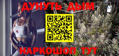 ALPHA PVP Моздок