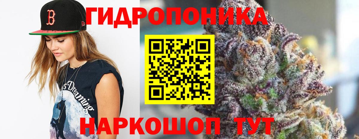 Бошки Шишки марихуана  Канабис индика  Великие Луки  Бошки Шишки MAZAR  Вход с VPN 
